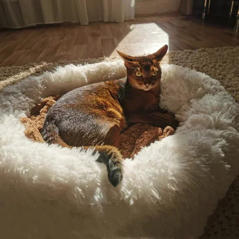 Super Soft Dog Bed Plush Cat Mat Dog Beds For Large Dogs Bed Labradors House Round Cushion Pet Product Accessories